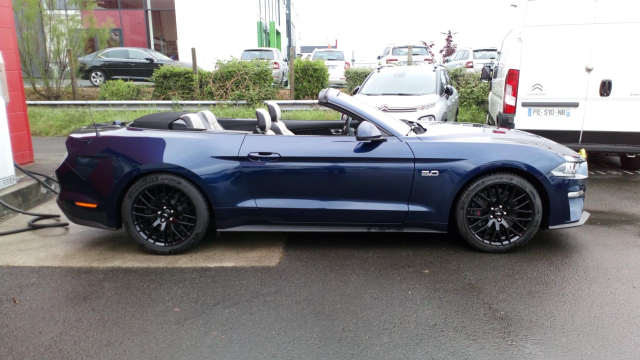 MUSTANG CAB BLEU PROFIL