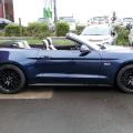 MUSTANG CAB BLEU PROFIL