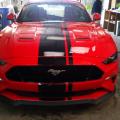 MUSTANG ROUGE PREPA  FACE AVANT